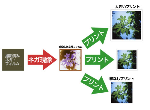 写真プリントまでのプロセス