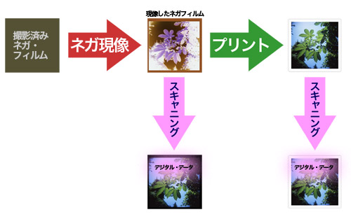 写真をデジタル化する