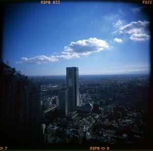 小さい画像ではニュートンリングは目立たない