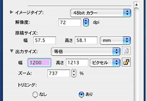 スキャンするサイズを決めます
