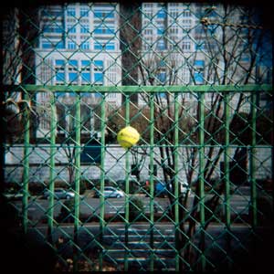 撮影距離80cmの写真