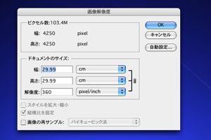 ドキュメントのサイズを確認