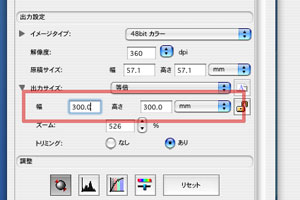 縦横300mmに
