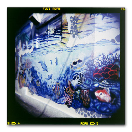 HOLGA写真2002