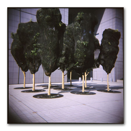 HOLGA写真2002