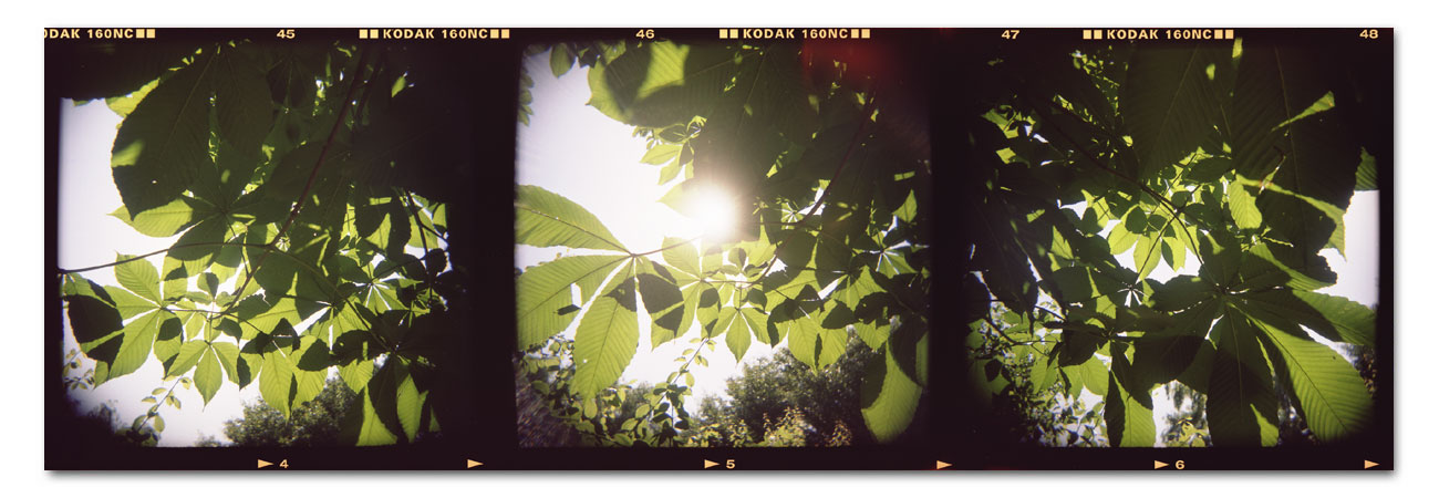 HOLGA写真2002
