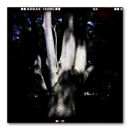 HOLGA写真2002