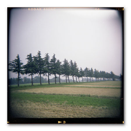 HOLGA写真2003 縦列