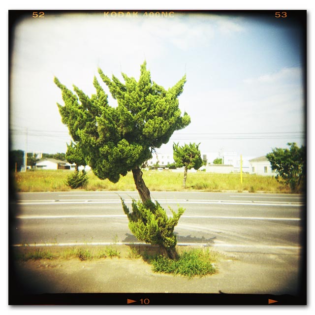 HOLGA写真2003-10