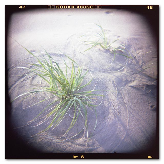 HOLGA写真2003-15
