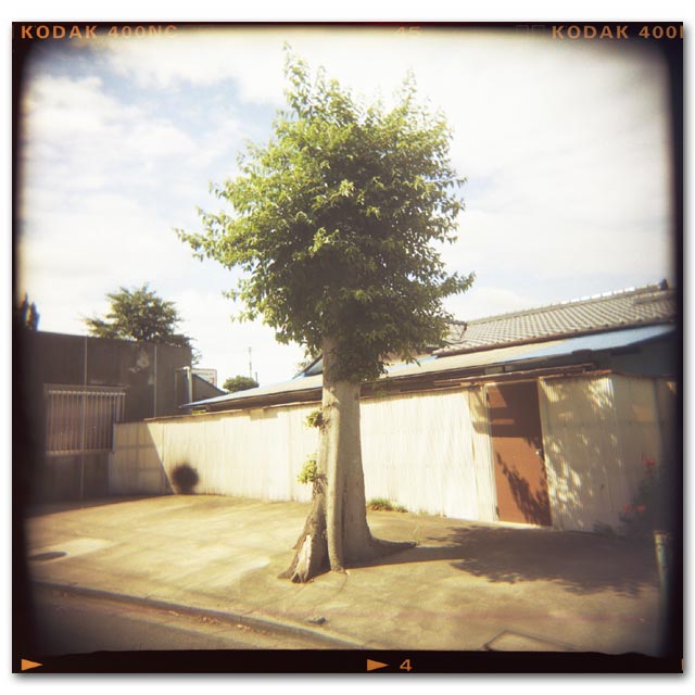 HOLGA写真2003-7