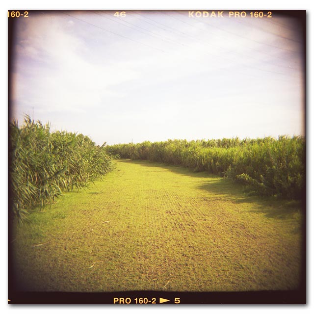 HOLGA写真2003-13