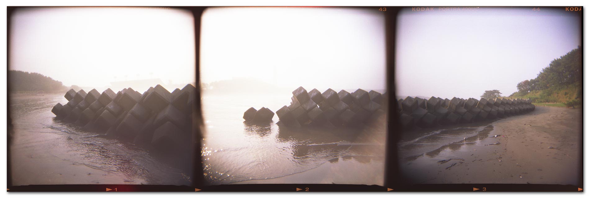 HOLGA写真2003 消波ブロックの海岸