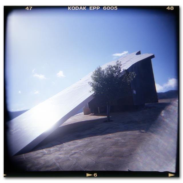 Reversible Destiny-YORO Park #1