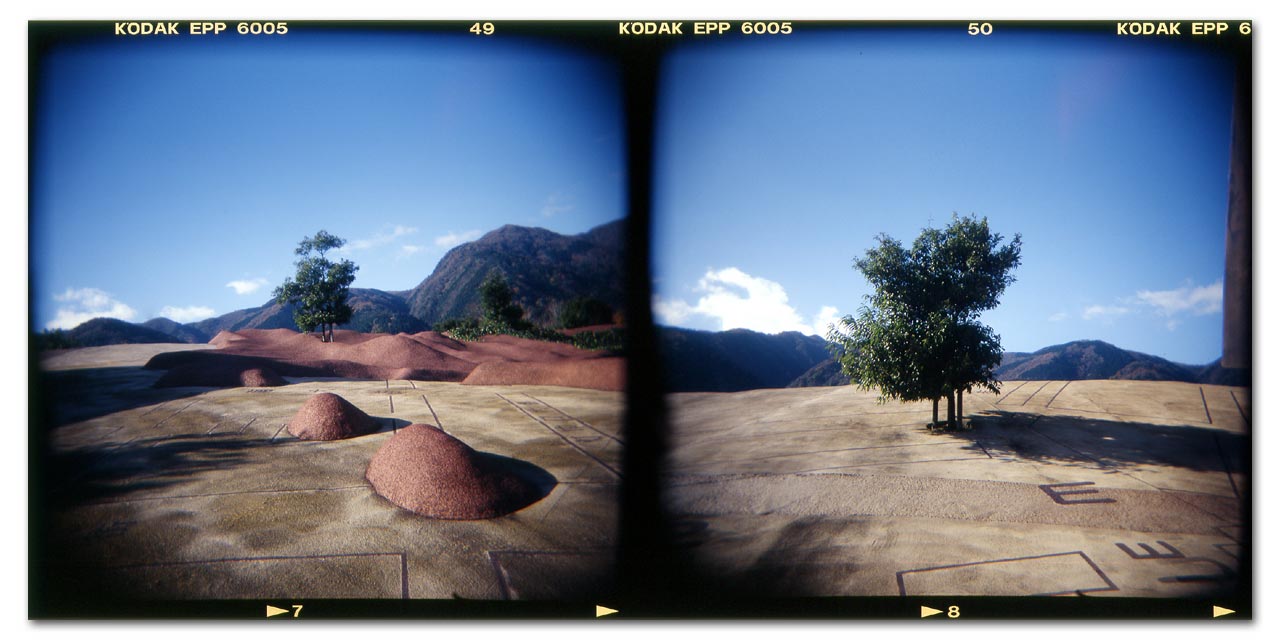 Reversible Destiny-YORO Park #2
