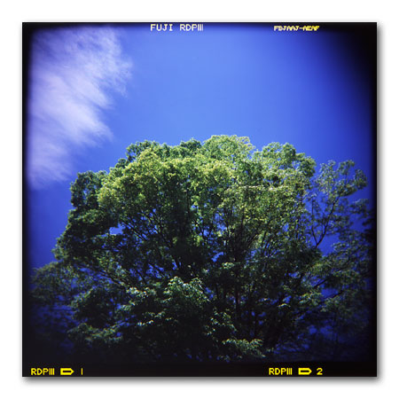 HOLGA写真2003 晴れ