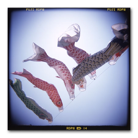 HOLGA写真2003 こいのぼり