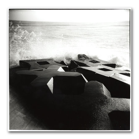 tetrapod1