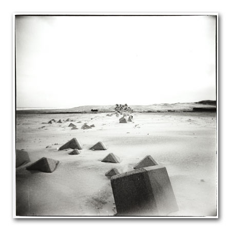 tetrapod2